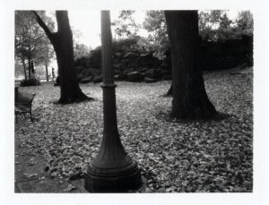 rockypath (Around The Art Museum)